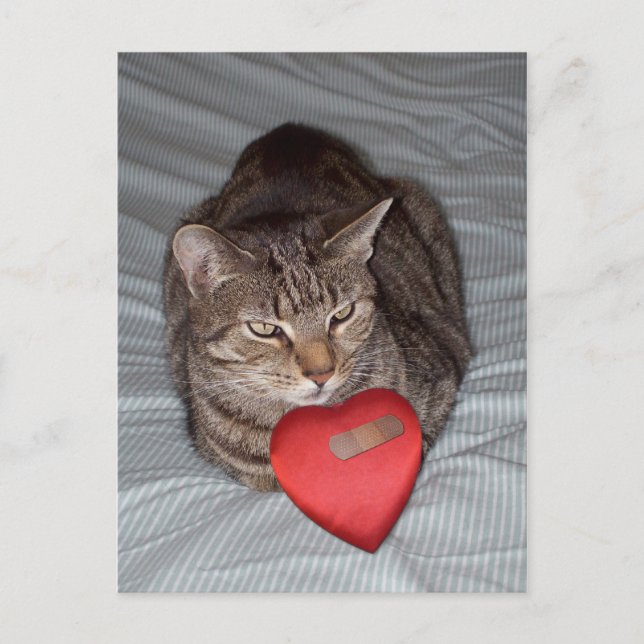 Cat Heart Bandaid Postcard (Front)