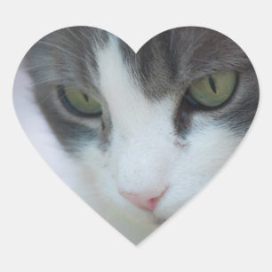 cat heart sticker