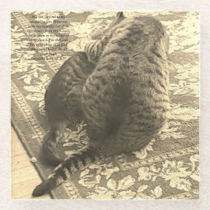 Cat Helping Kitten Coaster