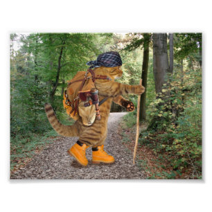 Cat hiker with backpack photo print