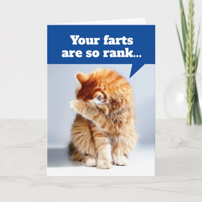 Cat Holding Nose Due To Smelly Farts Birthday Card (Front)