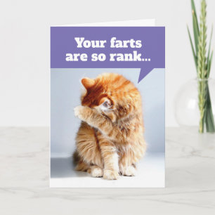 Cat Holding Nose Due To Smelly Farts Birthday Card