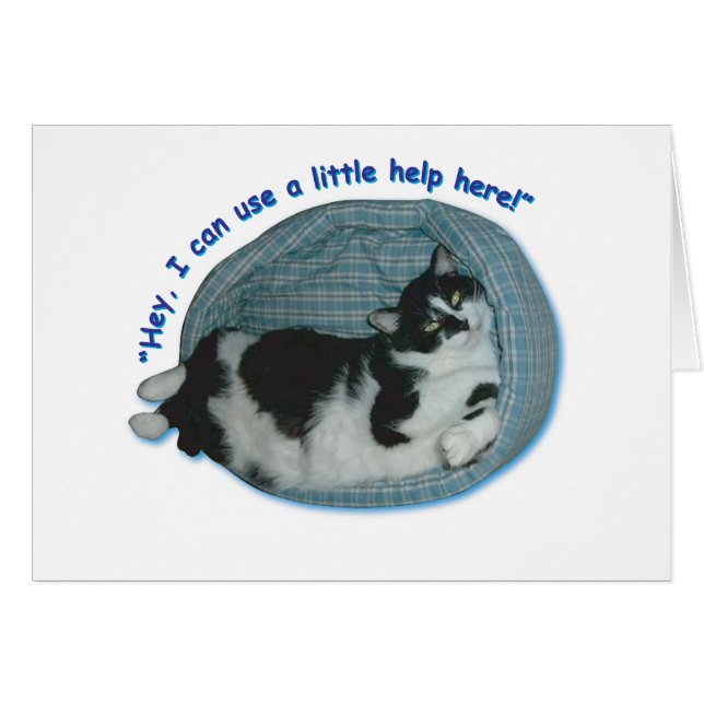 Cat Humour (Front Horizontal)