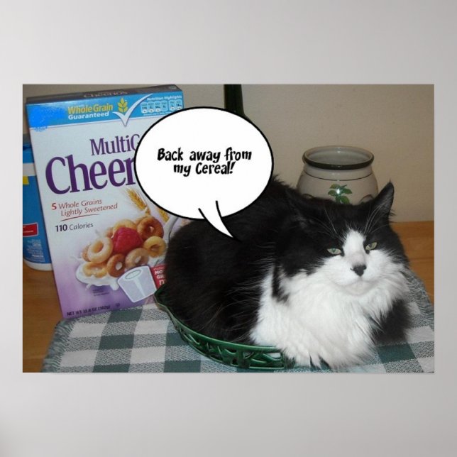 Cat Humour/long-haired Poster (Front)