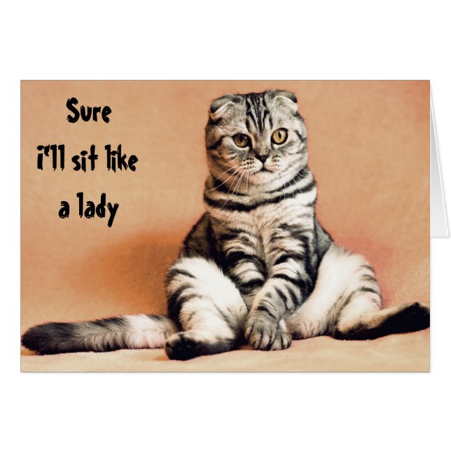 Cat Humour Sit Like a Lady Funny (Front Horizontal)