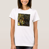 Cat Hypnotising Look Photo