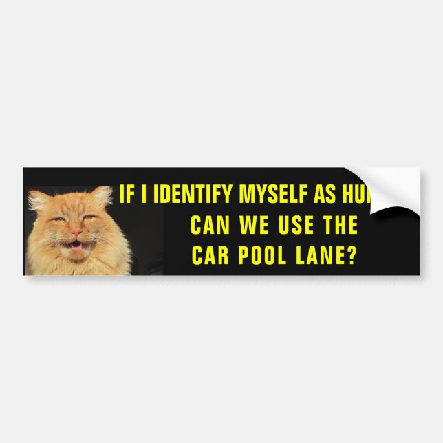 Cat Identifies Himself into Car Pool Lane Bumper Sticker (Front)