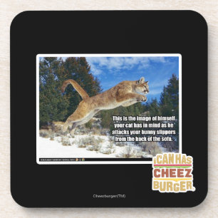 Cat image coaster
