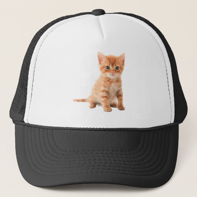 cat-image-download-picture printed products trucker hat (Front)