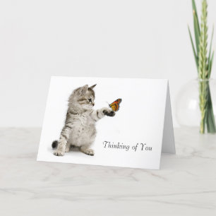 Cat image for get-well-card card