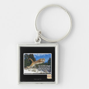 Cat image key ring