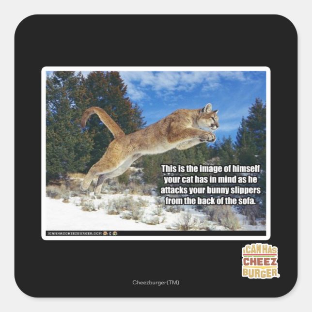 Cat image square sticker (Front)