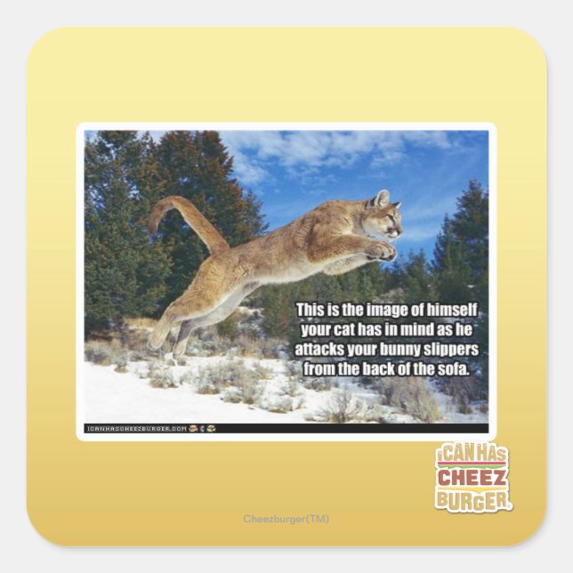 Cat image square sticker (Front)