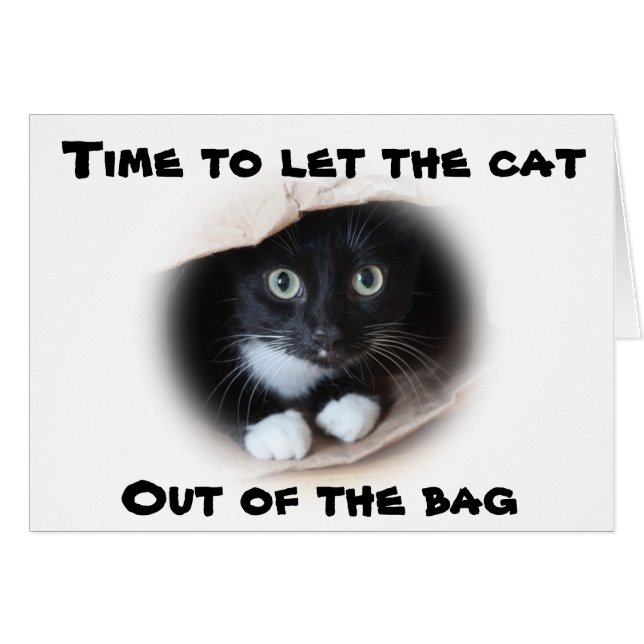 Cat in a bag (Front Horizontal)