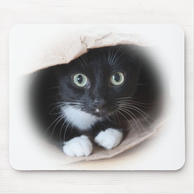 Cat in a bag mouse pad (Front)