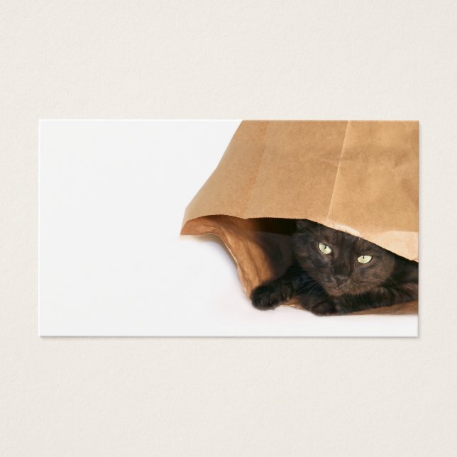 Cat in a bag profile card (Front)