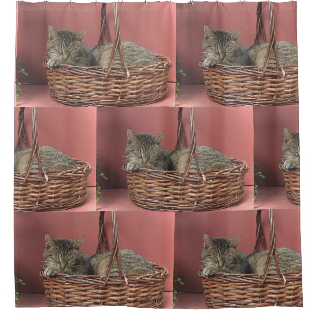 Cat In A Basket Shower Curtain (Front)