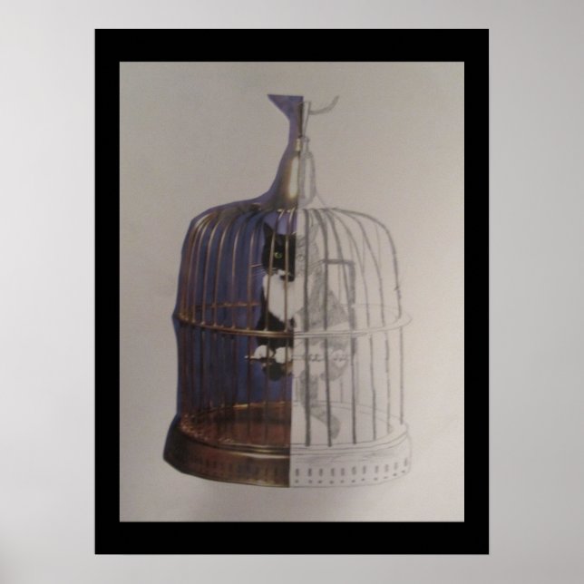 Cat in a Bird Cage Poster (Front)