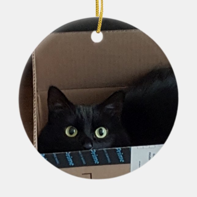 Cat in a box  ceramic tree decoration (Front)