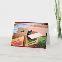 Cat in a Box Christmas Card