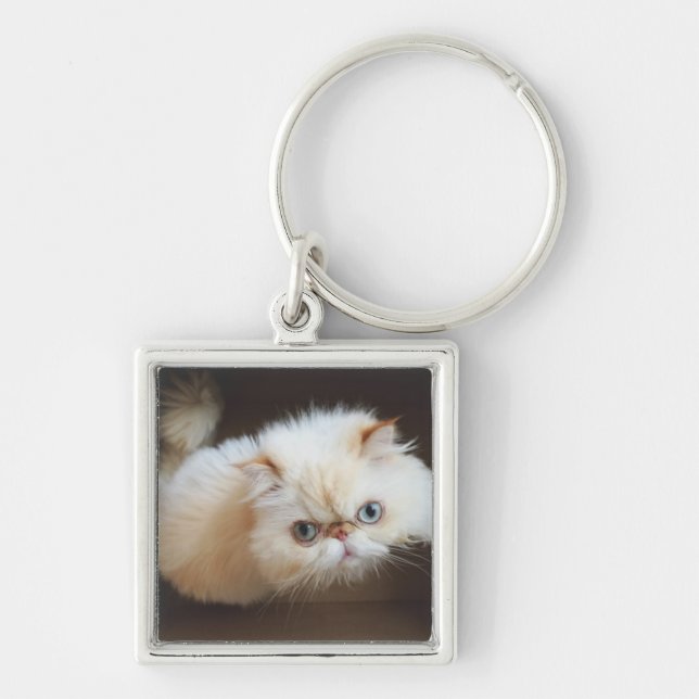 Cat In A Box Key Ring (Front)