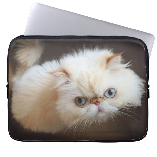 Cat In A Box Laptop Sleeve (Front)