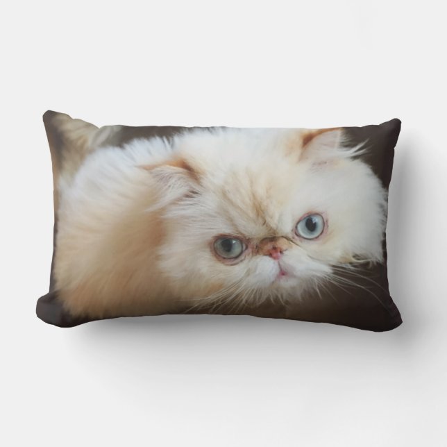 Cat In A Box Lumbar Cushion (Front)