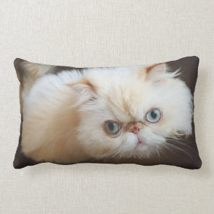Cat In A Box Lumbar Cushion
