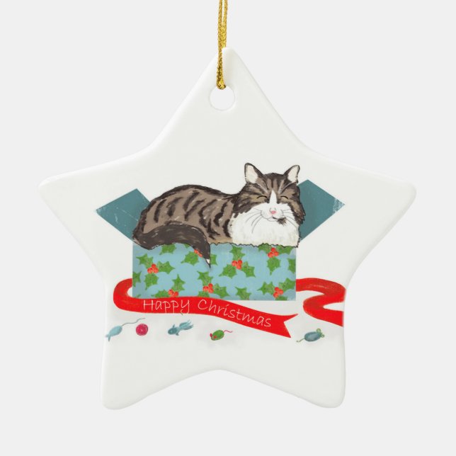 Cat in a box personalised Christmas tree ornament (Front)
