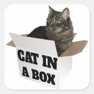 Cat in a Box! Square Sticker