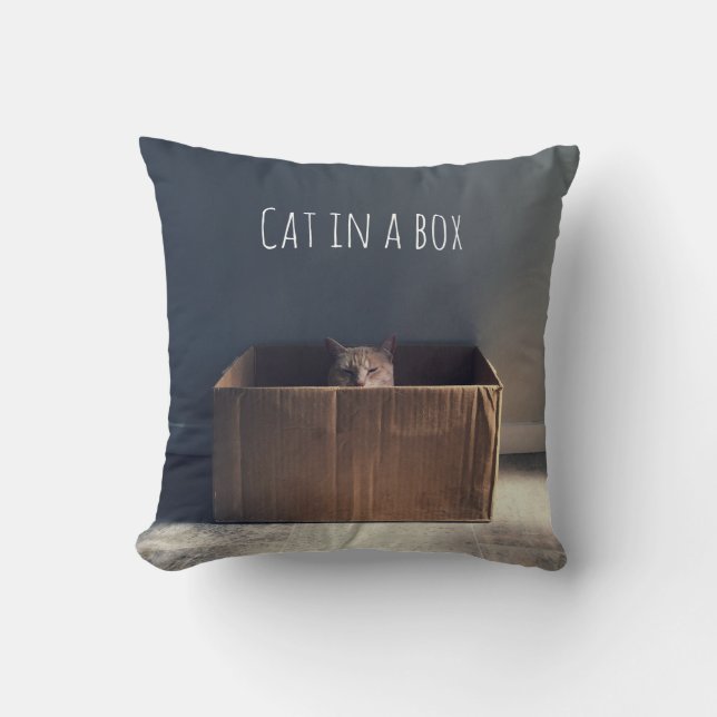 Cat in a box. The Zen cat master. Cushion (Front)