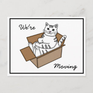 Cat in a Box "We're Moving" New Address   Announcement Postcard