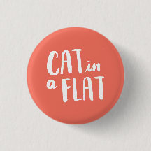 Cat in a Flat