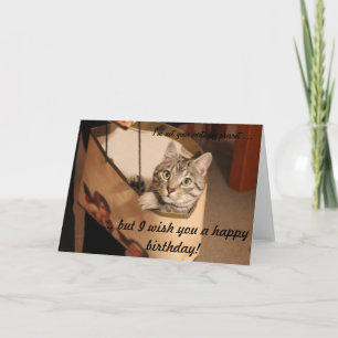 Cat in a gift bag card