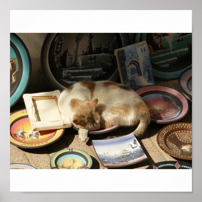 Cat in a h....Bowl Poster (Front)