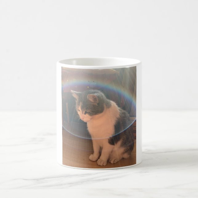 Cat in a sun bubble Classic Mug, 325 ml Coffee Mug (Center)