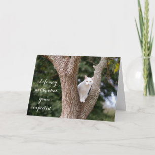 Cat in a Tree Notecard