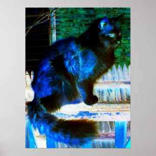Cat In Another Dimension Poster/Print Poster