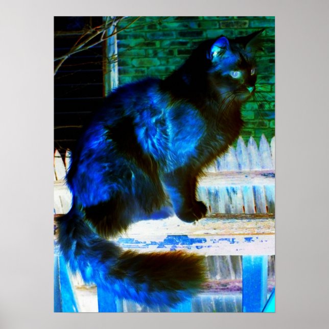 Cat In Another Dimension Poster/Print Poster (Front)