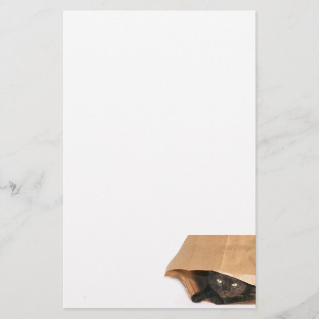 Cat in bag stationery (Front)