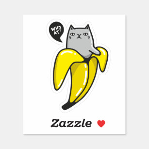 Cat in banana