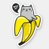 Cat in banana (Front)