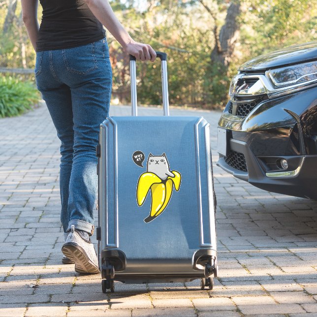 Cat in banana (Suitcase Insitu)
