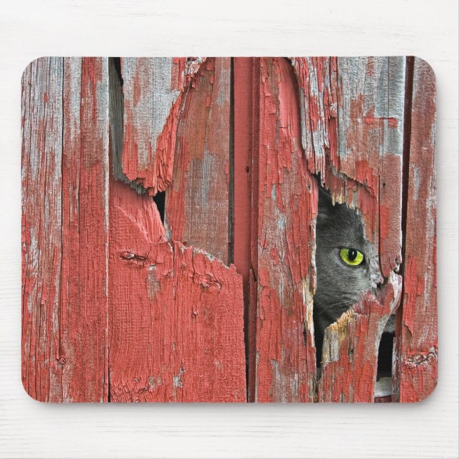 Cat in barn wood hole mouse pad (Front)