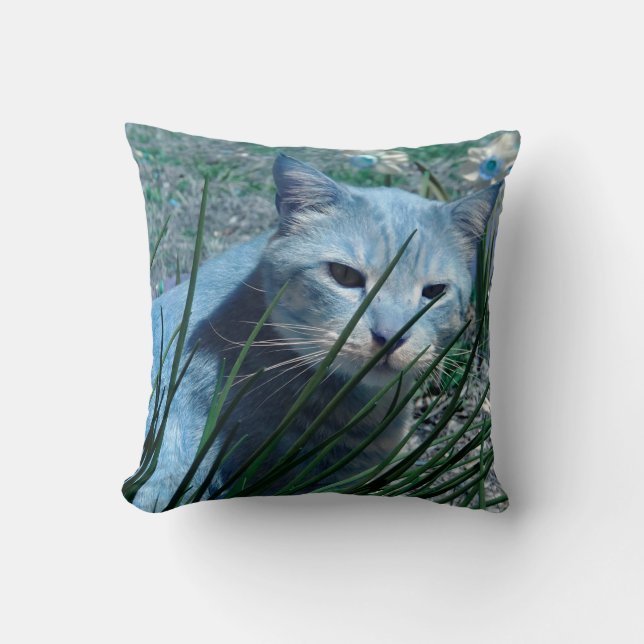 Cat in Blue Throw Pillow (Front)