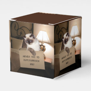 Cat in Box