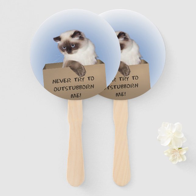 Cat in Box Hand Fan (Front and Back)