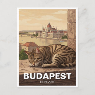 Cat in Budapest Hungary Parliament Building Travel Postcard