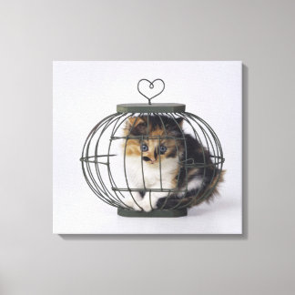 Cat in cage canvas print
