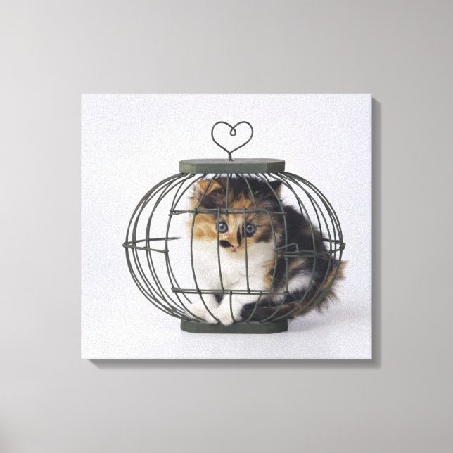 Cat in cage canvas print (Front)
